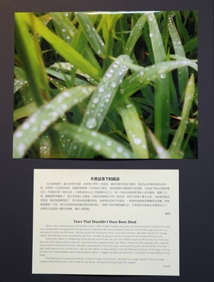 花蓮慈濟醫院「伸出援手前，請先了解他」攝影展揭幕